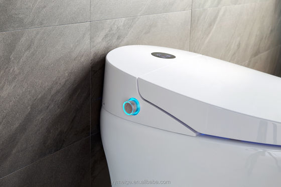 Bürogebäude Luxus Lower Cistern Eco Smart Automatische intelligente Toilette mit einstellbarer Temperatur und technischen Funktionen