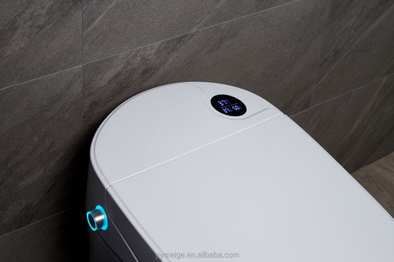 Erleben Sie ultimativen Komfort mit modernem Design Eco Smart Automatische intelligente Toilette beheizter Sitz und Warmlufttrockner
