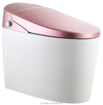 Erleben Sie ultimativen Komfort mit modernem Design Eco Smart Automatische intelligente Toilette beheizter Sitz und Warmlufttrockner