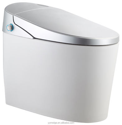Erleben Sie ultimativen Komfort mit modernem Design Eco Smart Automatische intelligente Toilette beheizter Sitz und Warmlufttrockner