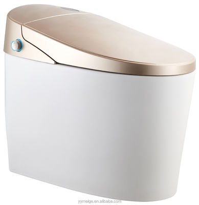 Erleben Sie ultimativen Komfort mit modernem Design Eco Smart Automatische intelligente Toilette beheizter Sitz und Warmlufttrockner