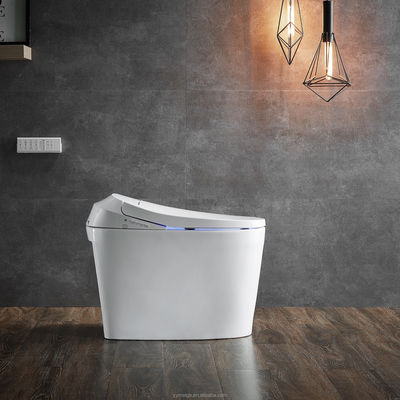 Ein-Piece-Toilette mit automatischem Spülen Warmes Wasser und Trockener Rückenmodus Eco Smart Automatische intelligente Toilette All-in-One Toilette OEM