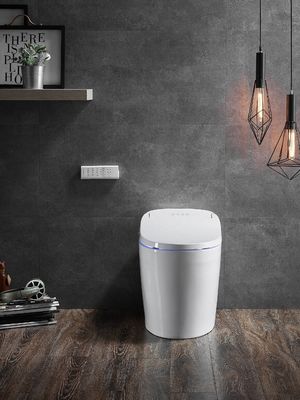 Ein-Piece-Toilette mit automatischem Spülen Warmes Wasser und Trockener Rückenmodus Eco Smart Automatische intelligente Toilette All-in-One Toilette OEM