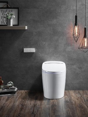 Erweiterte Funktion Automatische Deodorierung Toilette Integrierte Multifunktion Luxus mit S-Falle Drainage und Fernbedienung