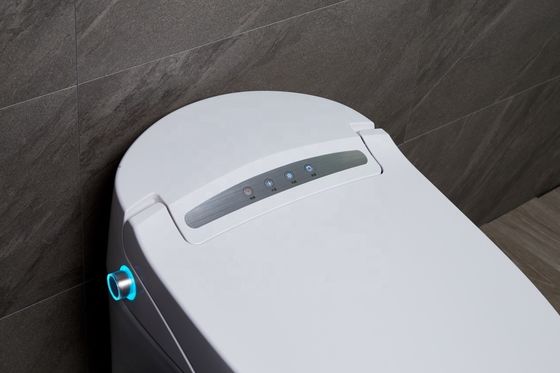 Transformieren Sie Ihr Bürogebäude Badezimmer mit Fußboden-intelligente automatische Toilette und Multi-Funktion Luxus Bidet