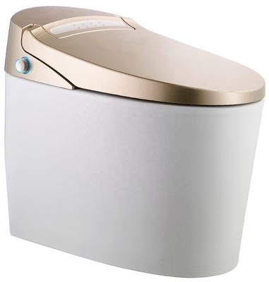 Transformieren Sie Ihr Bürogebäude Badezimmer mit Fußboden-intelligente automatische Toilette und Multi-Funktion Luxus Bidet