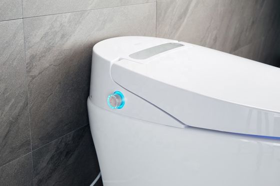 Ein-Teil-Struktur beheizte Bidet-Toilette mit integrierter Multifunktion Luxus und intelligentes automatisches Design