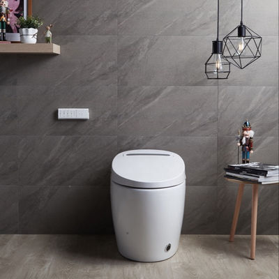 Ein-Teil-Struktur beheizte Bidet-Toilette mit integrierter Multifunktion Luxus und intelligentes automatisches Design